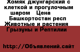 Хомяк джунгарский с клеткой и прогулочным шаром › Цена ­ 600 - Башкортостан респ. Животные и растения » Грызуны и Рептилии   